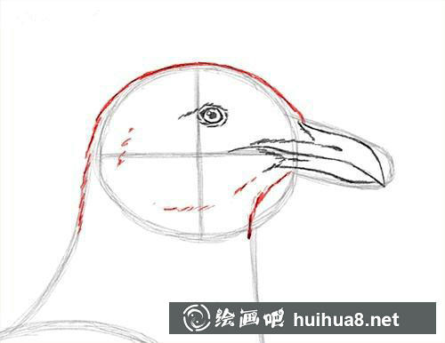 海鷗素描步驟4 海鷗素描步驟4
