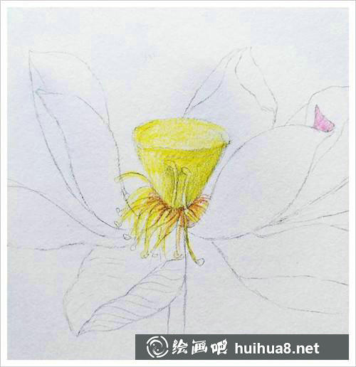 繪制花蕊