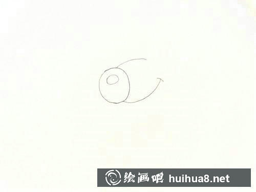 構(gòu)圖步驟
