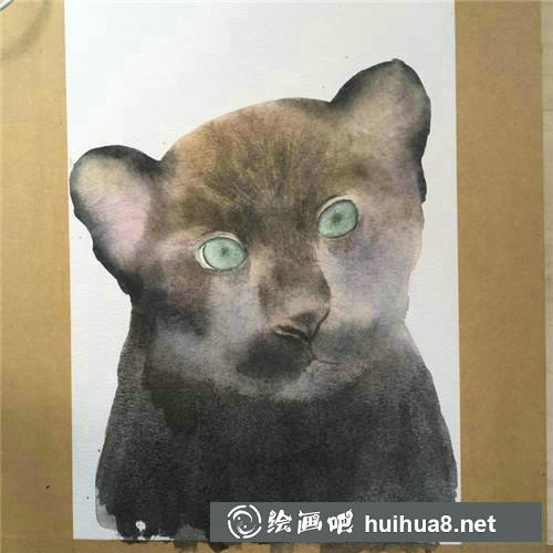 黑貓五官