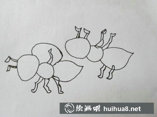 螞蟻頭部和身體輪廓