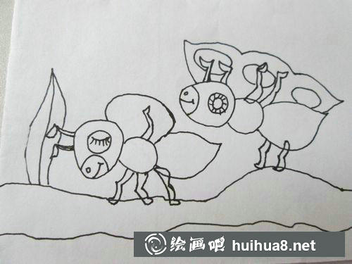 螞蟻背上的豆子和長(zhǎng)豆莢