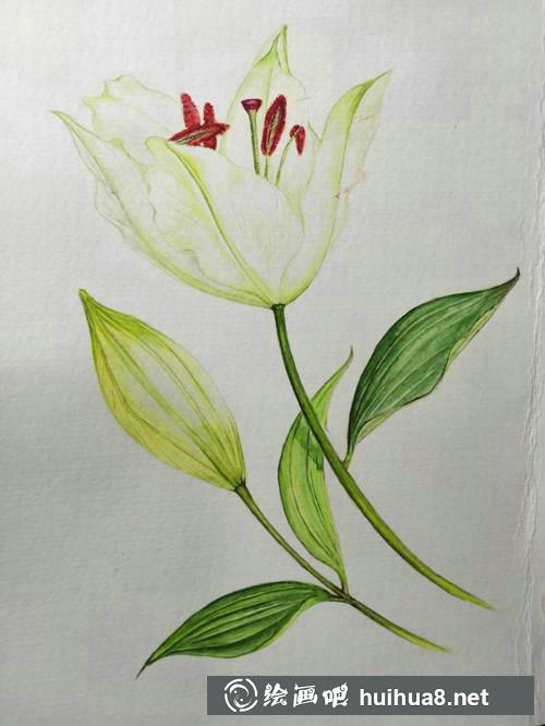百合花統(tǒng)一調(diào)整
