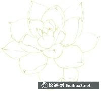 多肉彩鉛畫步驟詳解