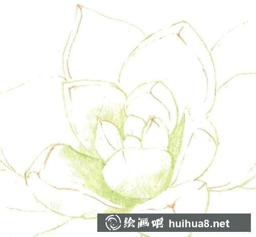 黃麗生長點(diǎn)顏色繪制