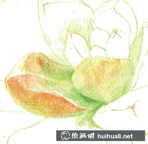 黃麗葉片陰影與高光繪制