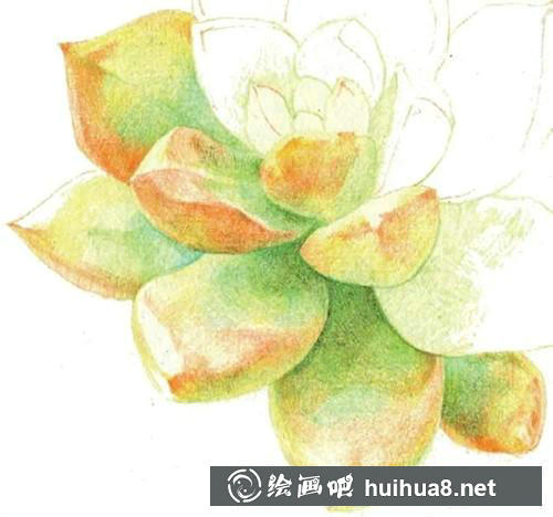 黃麗后方葉片陰影與顏色繪制