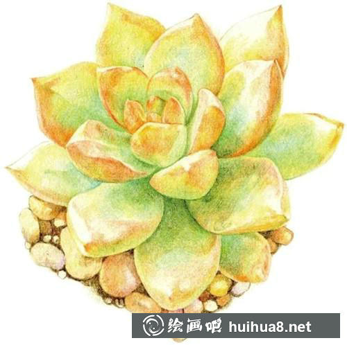 黃麗畫面添加小石子