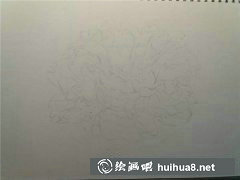 彩鉛牡丹畫法教程詳解