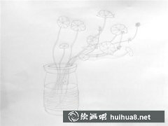 銅錢草畫法教程