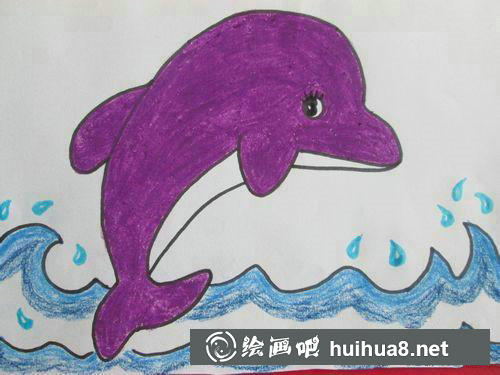 海豚完成