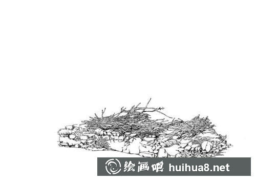 田野與稻苗