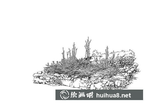 小樹林