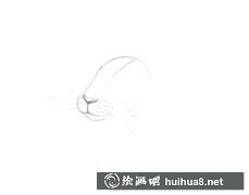 素描兔子繪畫技巧