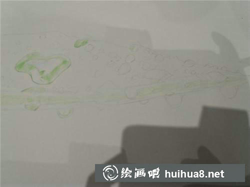 蘆薈彩鉛畫(huà)步驟1