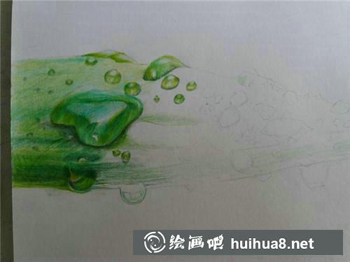 蘆薈彩鉛畫(huà)步驟2