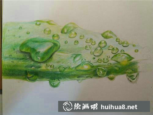 蘆薈彩鉛畫(huà)步驟4