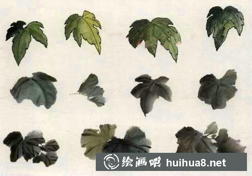 絲瓜瓜葉畫法