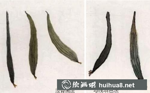 絲瓜瓜果畫法