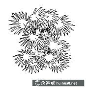 棕櫚樹繪畫教程