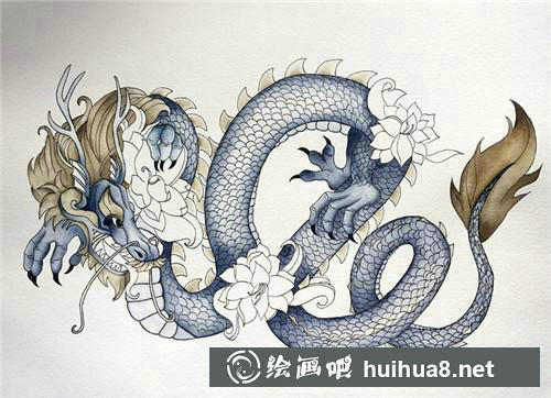 4 毛發(fā)