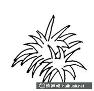 荷葉速寫技法解析