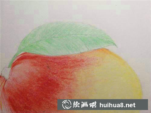 葉子上色