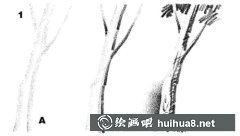 樹(shù)木素描入門(mén)技巧