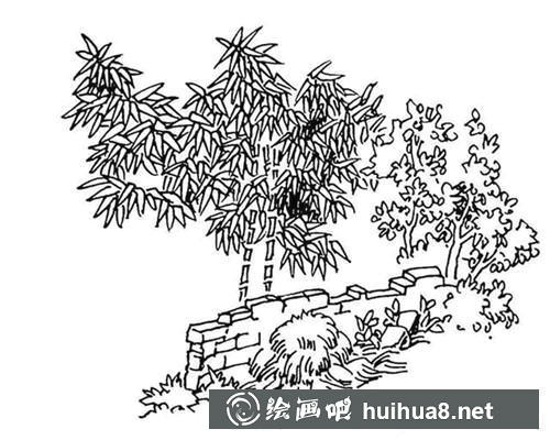 鋼筆畫竹子步驟3