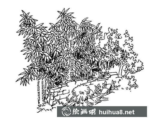 鋼筆畫竹子步驟4