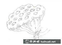 工筆畫蓮蓬技法解析