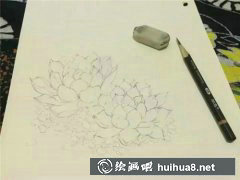 彩鉛繪多肉植物基礎(chǔ)教學(xué)