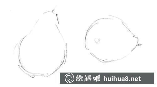 梨子素描輪廓