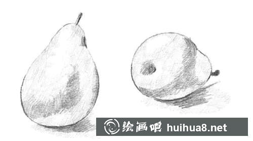 梨子素描深色陰影