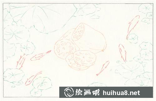 蓮藕線稿