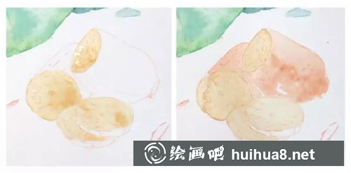 荷葉經(jīng)絡(luò)