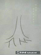 兒童畫(huà)樹(shù)教程簡(jiǎn)單易學(xué)