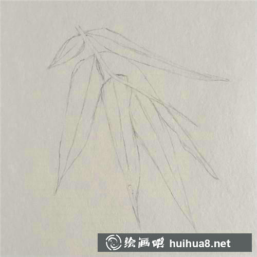 竹葉線稿