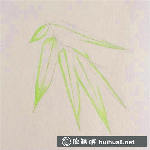 竹葉底色