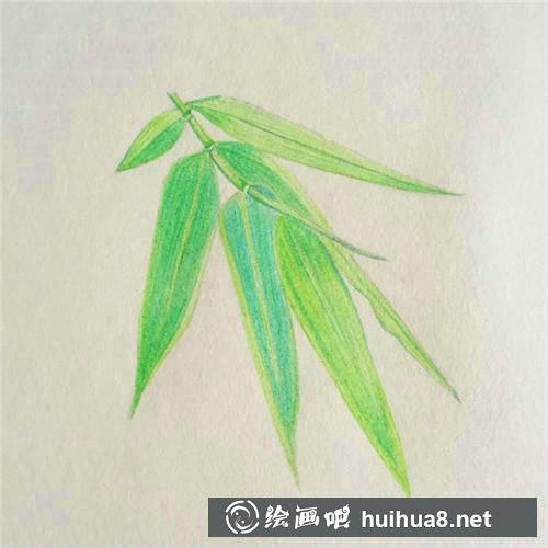 竹葉上色
