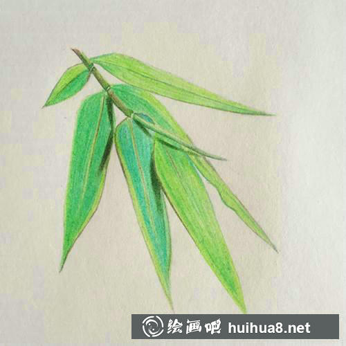 竹葉細(xì)節(jié)