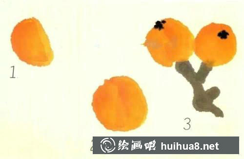 枇杷畫法