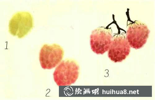 荔枝畫法