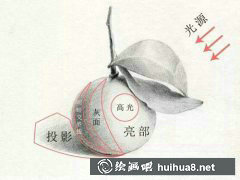 素描桔子繪制技巧
