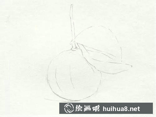 桔子素描步驟2