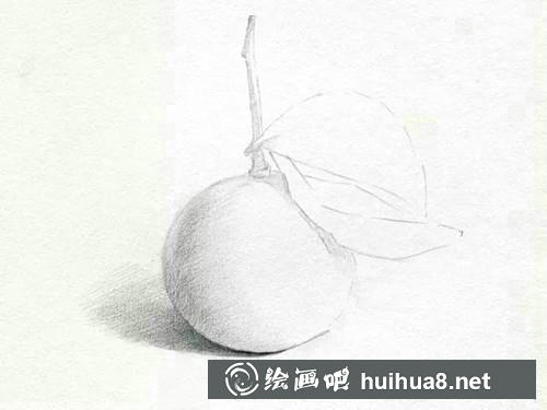 桔子素描步驟3