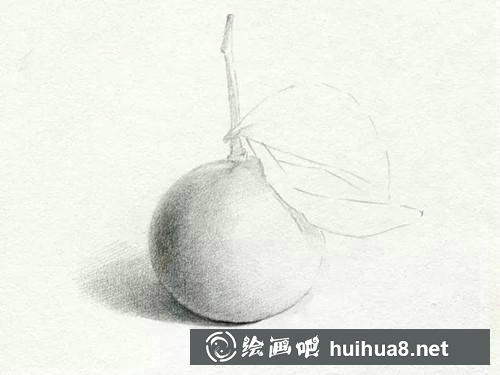 桔子素描步驟4