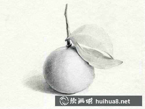 桔子素描步驟5