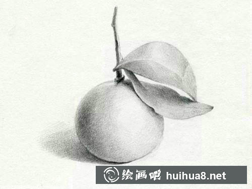 桔子素描步驟6