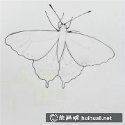 蝴蝶彩鉛畫技法解析